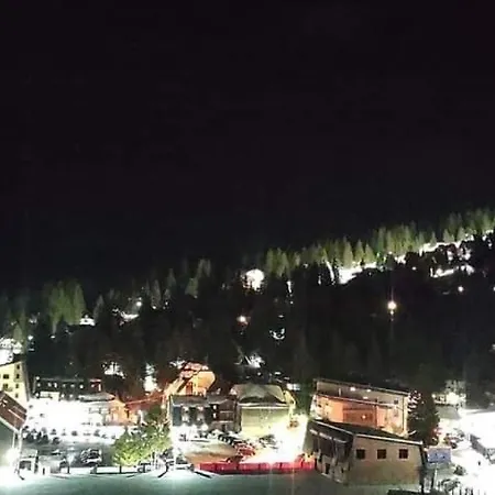 The View *